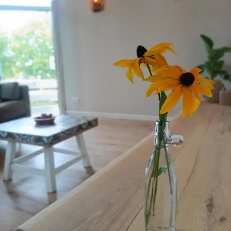 Mediterranean With Theater *