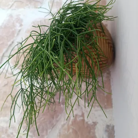 Mediterranean With Theater Bodegraven