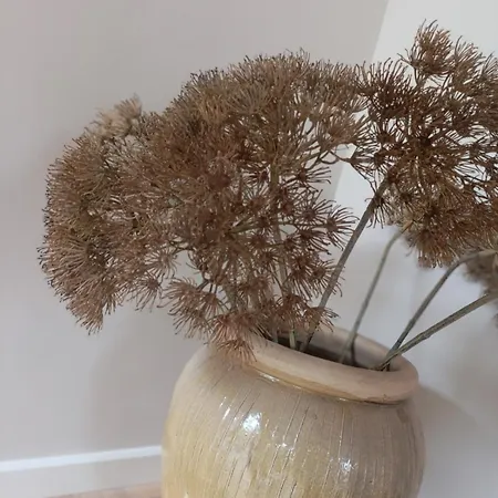 Mediterranean With Theater * Bodegraven