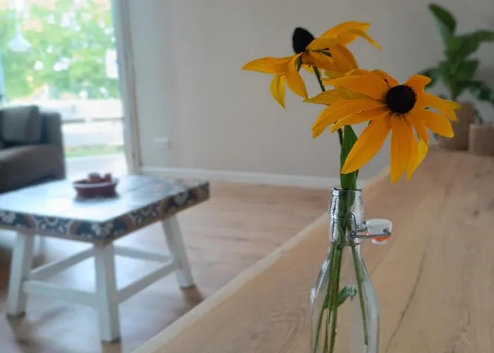 Mediterranean With Theater *