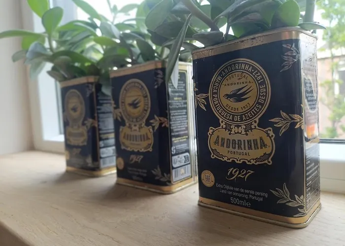 Mediterranean With Theater