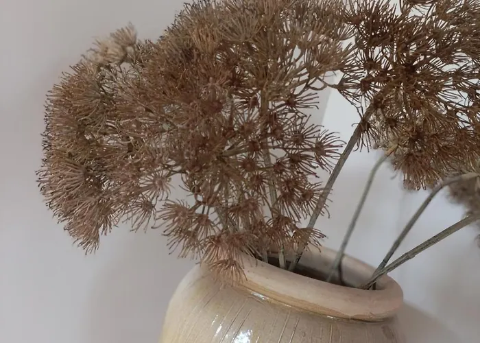 Mediterranean With Theater * Bodegraven